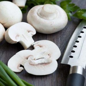 ۲۰ نوع قارچ خوراکی که شاید اسمشان را هم نشنیده باشید