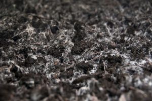 کمپوست چیست ؟