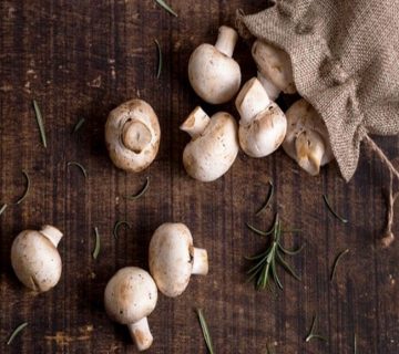 خواص و فواید قارچ خوراکی