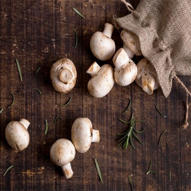 خواص و فواید قارچ خوراکی