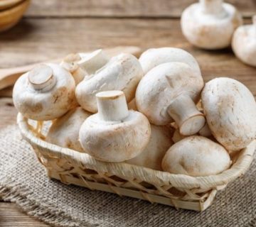 خاصیت‌های دارویی قارچ سفید برای سلامتی بدن