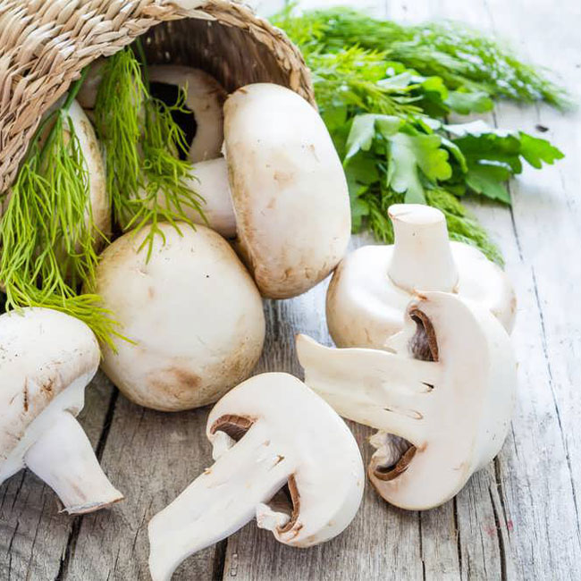 قارچ چه ارزش غذایی دارد؟