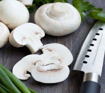 قارچ‌های خوراکی را بیشتر بشناسیم
