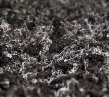 کمپوست چیست و چه مزایایی دارد؟