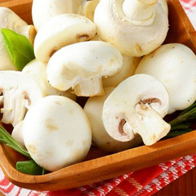 خواص دارویی و فواید قارچ