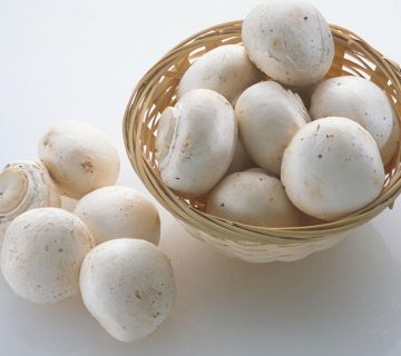 قارچ و خواص بیشمارش