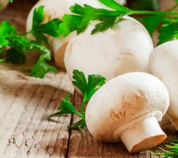 همه چیز درباره کشت و پرورش قارچ دکمه ای