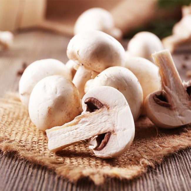 قارچ چیست و چگونه تولید میشود؟