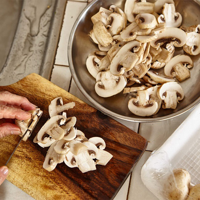 قارچ؛آشنایی کامل با قارچ خوراکی دلجانی