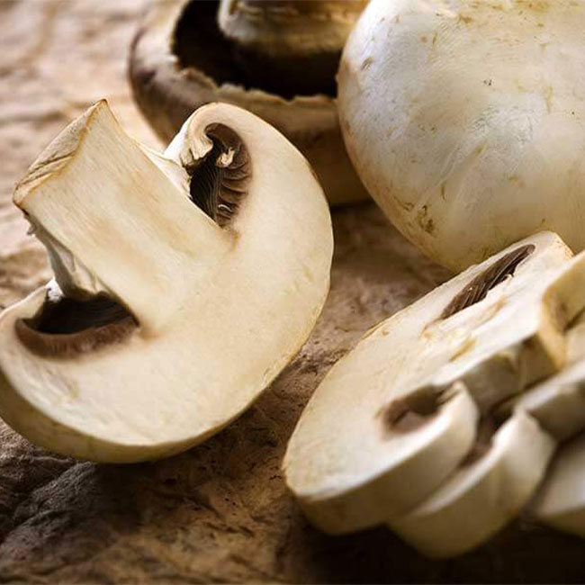 بهترین روش شستشو و پخت قارچ