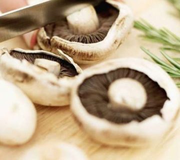 از کجا میتوانیم قارچ بخریم؟