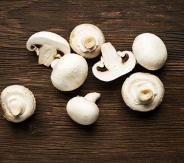 فواید-خوردن-قارچ-در-بارداری-چیست؟