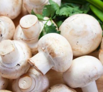 بهترین روش مصرق قارچ