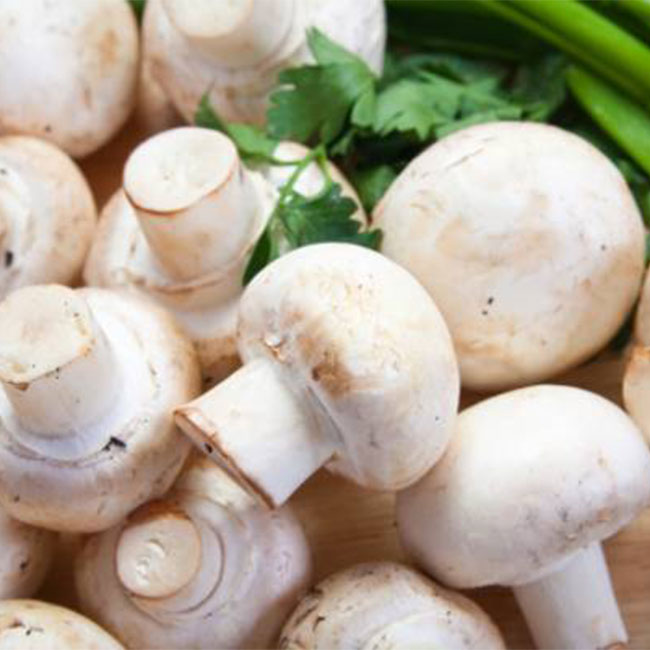 بهترین روش مصرق قارچ