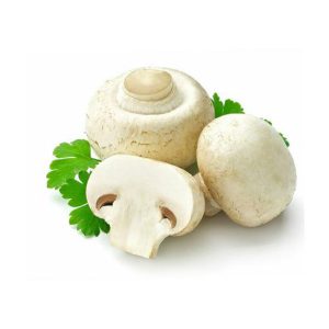 روش های پخت قارچ خوراکی