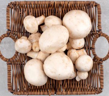 تقویت سیستم ایمنی بدن با خوردن قارچ