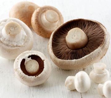 انواع قارچ خوراکی را پیش از خرید بشناسید