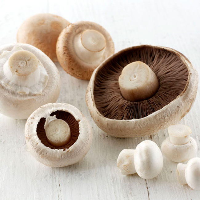 انواع قارچ خوراکی را پیش از خرید بشناسید