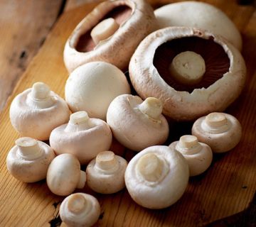 ویژگی های قارچ دکمه ای سفید