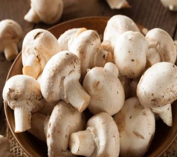 فواید قارچ در تغذیه چیست؟