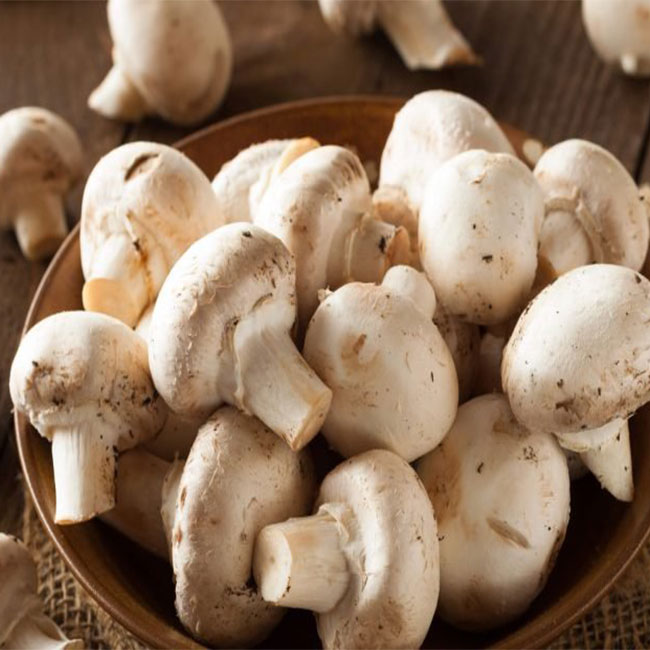 فواید قارچ در تغذیه چیست؟