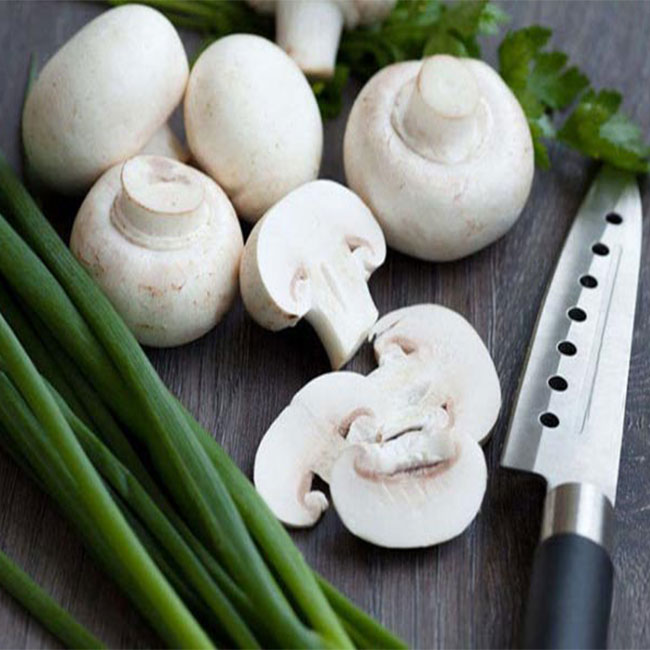 معرفی انواع قارچ خوراکی