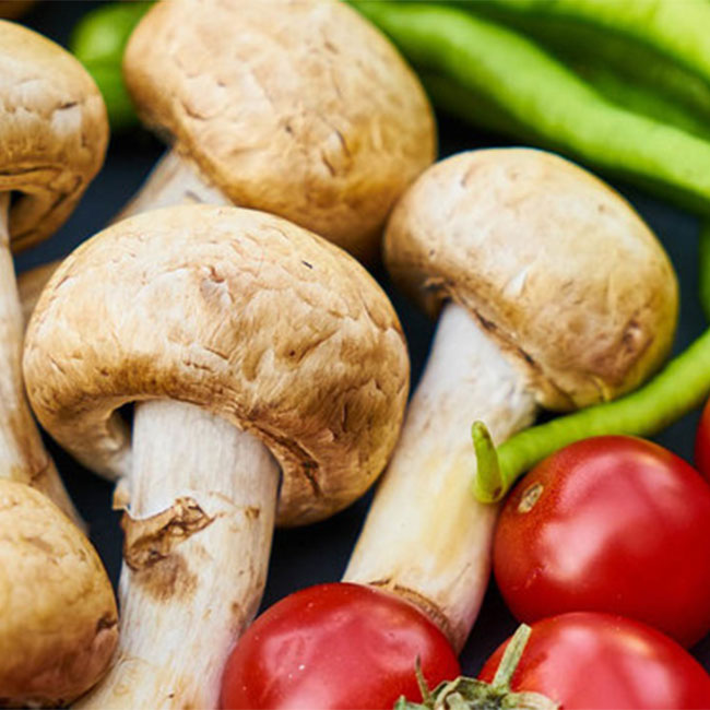 دستورالعمل لاغری با رژیم قارچ