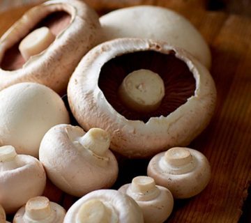 مزایای خاک پوششی قارچ دکمه ای چیست؟