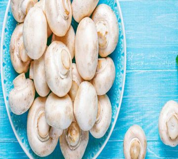 قارچ سفید و ارزش غذایی قارچ خوراکی