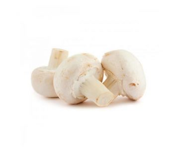 فروش قارچ سفید پر از پروتئین