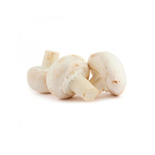 فروش قارچ سفید پر از پروتئین