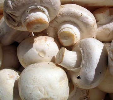 فروش قارچ و اضافه کردن قارچ به رژیم غذایی