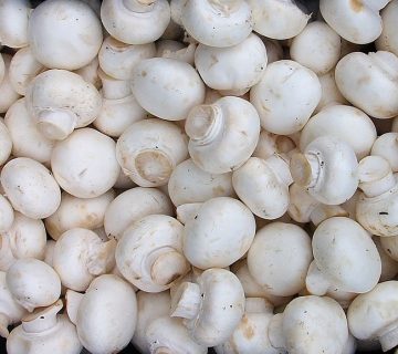 قارچ را خام بخوریم یا بپزیم؟