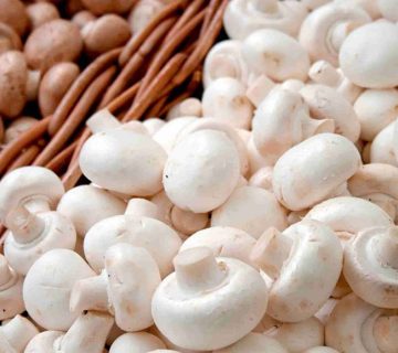 جلوگیری از سیاه شدن قارچ