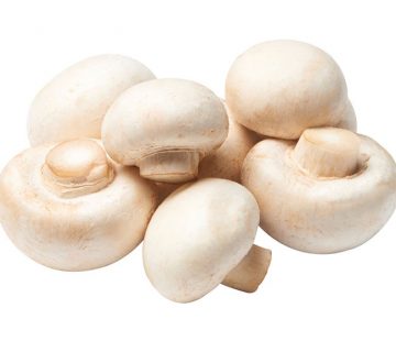 آموزش پرورش قارچ به طور کامل در منزل