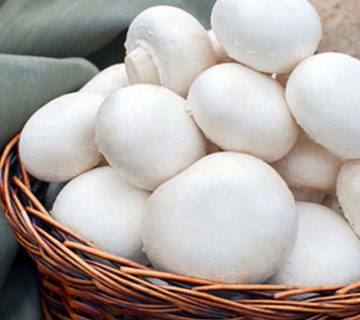 بی نظیر ترین خواص قارچ سفید