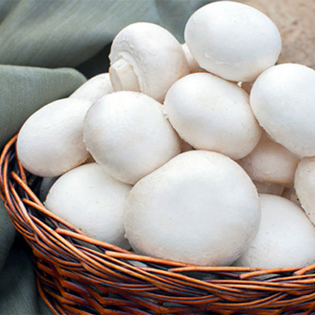 بی نظیر ترین خواص قارچ سفید