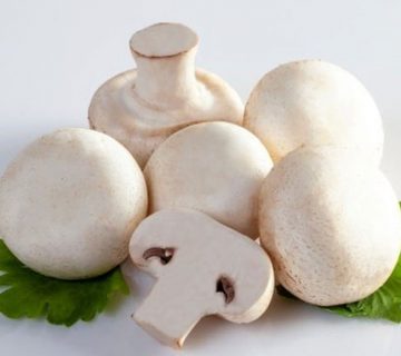 قارچ چیست و در قارچ چه مواد مغذی وجود دارد