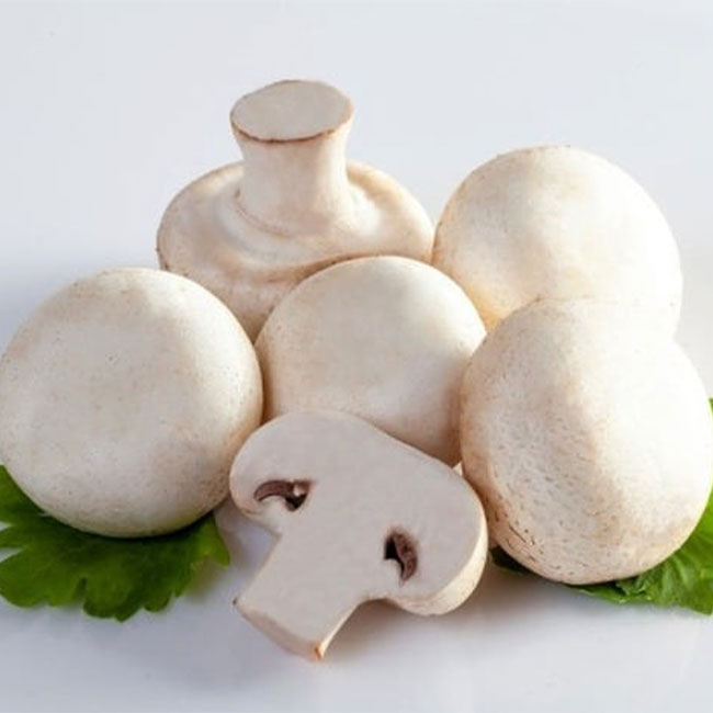 قارچ چیست و در قارچ چه مواد مغذی وجود دارد