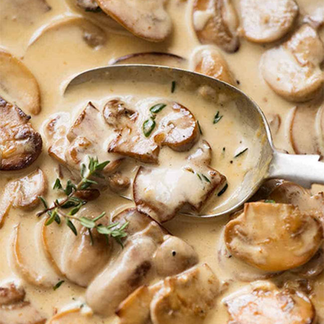 فروش-قارچ؛چگونه-باید-قارچ-را-پخت؟