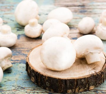 روش فروش و نگهداری قارچ