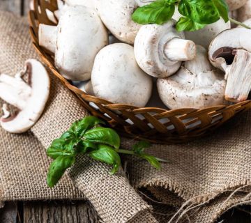 فروش قارچ؛سلامتی، لاغری، پوست و مو با قارچ