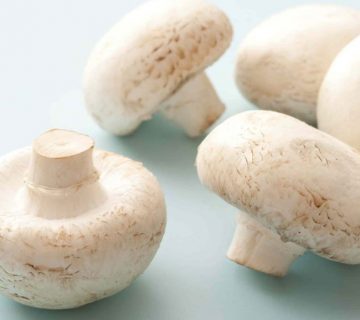 فروش قارچ؛فواید قارچ خوراکی و مضرات مصرف زیاد