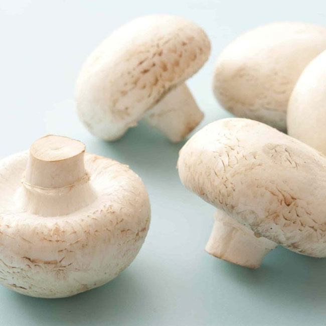 فروش قارچ؛فواید قارچ خوراکی و مضرات مصرف زیاد