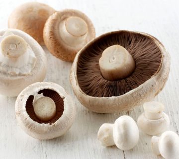 قارچ خوراکی چیست؟