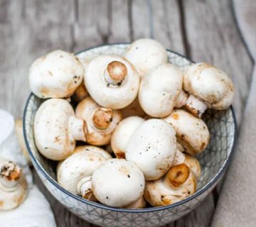 قیمت قارچ سفید و خواص قارچ