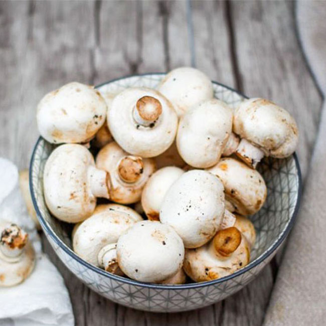 قیمت قارچ سفید و خواص قارچ