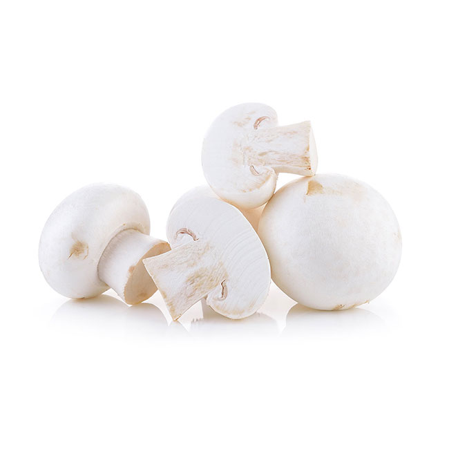 خواص-و-ارزش-غذایی-قارچ