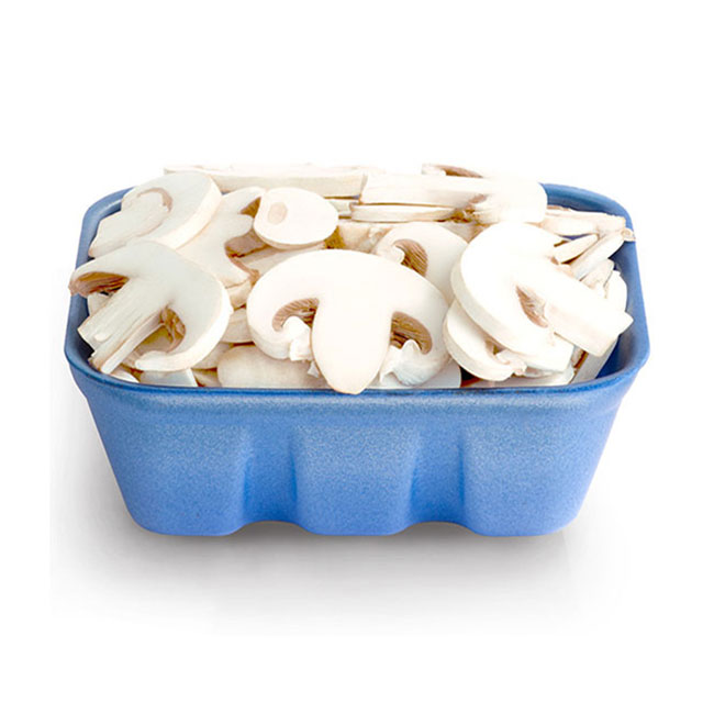 مواد-معدنی-موجود-در-قارچ