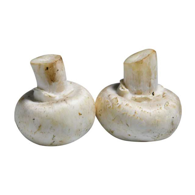 قیمت قارچ سفید خوراکی